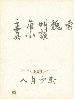 主角叫魏索的修真小说