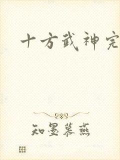 十方武神完结版
