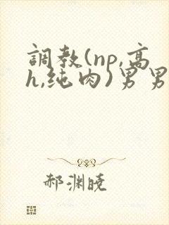 调教(np,高h,纯肉)男男