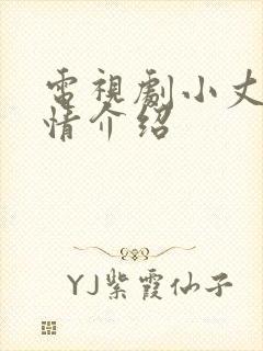 电视剧小丈夫剧情介绍