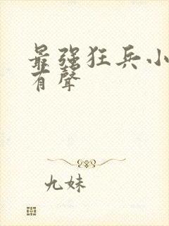 最强狂兵小说 有声