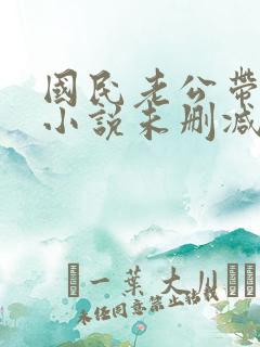 国民老公带回家小说未删减