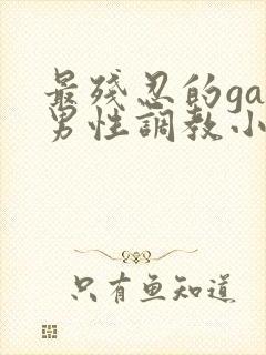 最残忍的gay男性调教小说