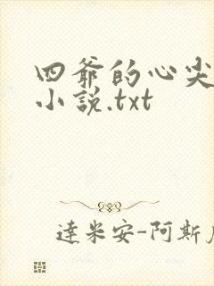 四爷的心尖宠妃小说.txt