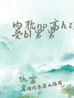肉耽np高h浪受bl男男