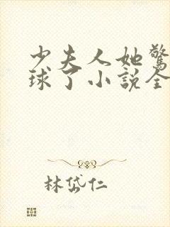 少夫人她惊艳全球了小说全集