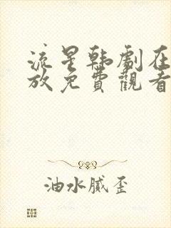 流星韩剧在线播放免费观看