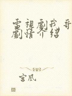 电视剧我哥我嫂剧情介绍