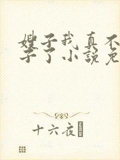 嫂子我真不是傻子了小说免费阅读全文无窗口