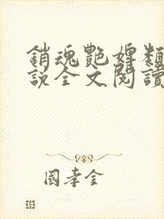 销魂艳婢类似小说全文阅读