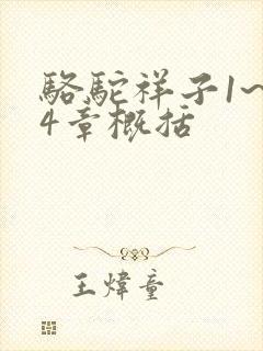 骆驼祥子1~24章概括