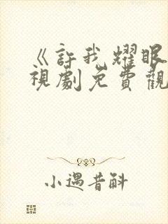 《许我耀眼》电视剧免费观看高清