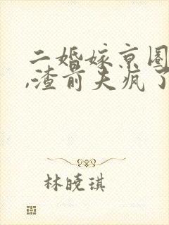 二婚嫁京圈大佬,渣前夫疯了章节