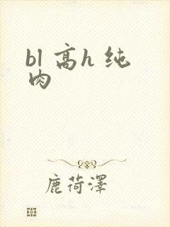bl 高h 纯肉