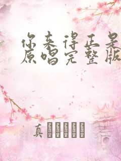 你来得正是时候原唱完整版