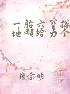 一胎六宝总裁爹地超给力全文免费阅读