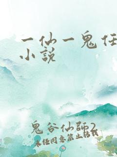 一仙一鬼任平生小说