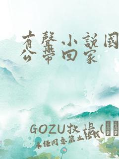 有声小说国民老公带回家