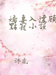 娇妻入怀顾少轻点宠小说