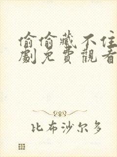 偷偷藏不住电视剧免费观看免费