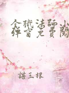 全职法师小说无弹窗免费阅读