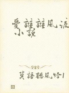 爱谁谁风流书呆 小说
