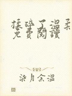 揉碎了温柔全文免费阅读