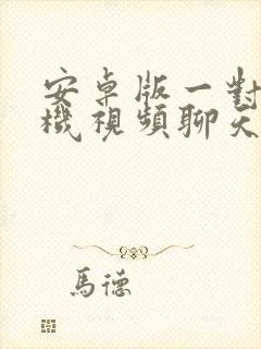 安卓版一对一随机视频聊天