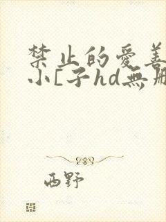 禁止的爱善良的小[子hd无删减在线