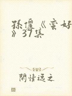 孙俪《蛮好人生》37集