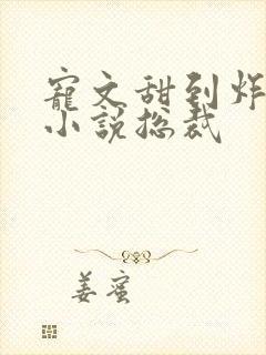 宠文甜到炸无虐小说总裁