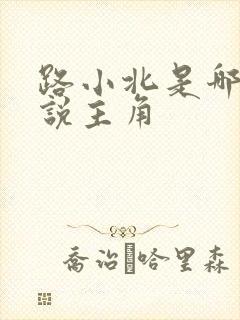 路小北是哪部小说主角