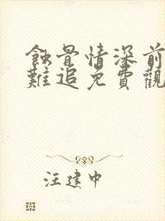 蚀骨情深前妻太难追免费观看