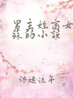 男主姓商女主姓苏的小说