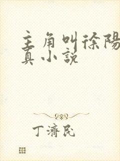 主角叫徐阳的修真小说