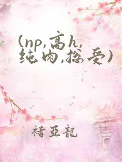 (np,高h,纯肉,总受)
