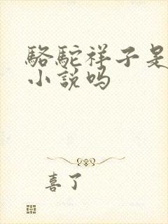 骆驼祥子是长篇小说吗