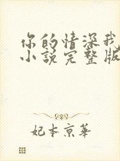 你的情深我不配小说完整版