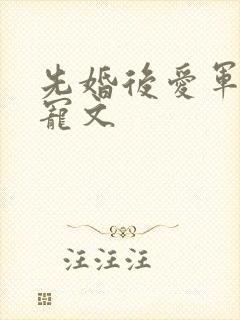 先婚后爱军婚甜宠文