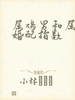 属鸡男和属牛女婚配指数