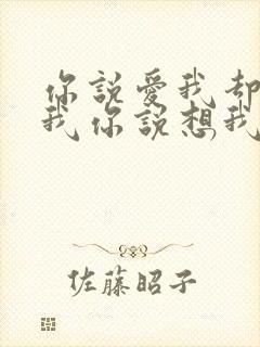 你说爱我却不陪我你说想我却不见我是什么歌