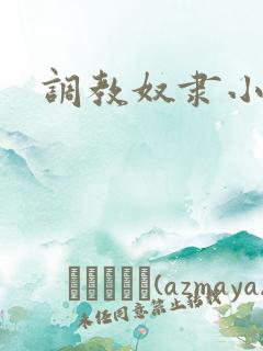 调教奴隶小说网