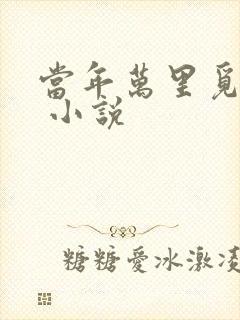 当年万里觅封侯 小说