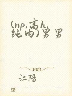 (np,高h,纯肉)男男