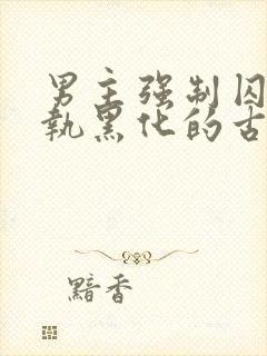 男主强制囚禁偏执黑化的古言