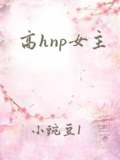 高hnp女主