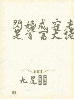 闪婚成宠老公竟是首富大佬