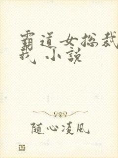 霸道女总裁爱上我 小说