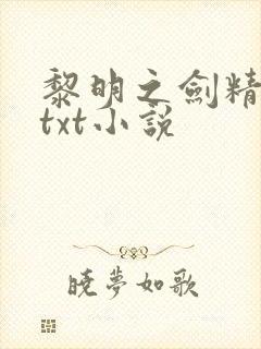 黎明之剑精校版txt小说