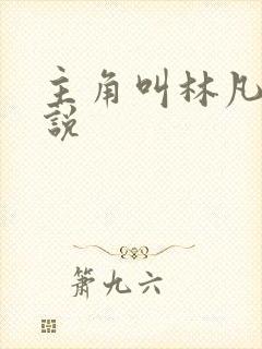 主角叫林凡的小说